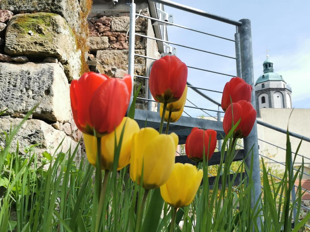 Fynbos Studio Dg In Der Altstadt, Frauenkirchenblick, Parkplatz Meißen 외부 사진