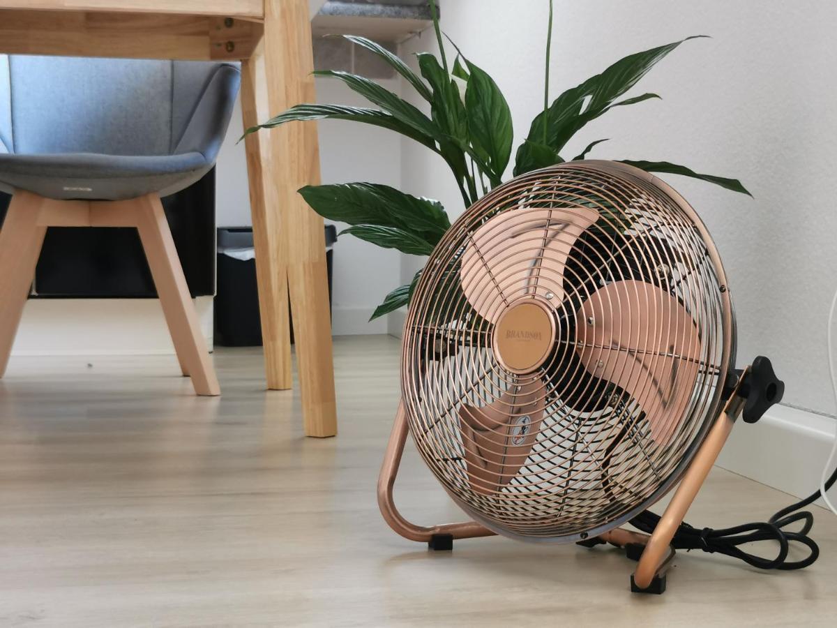 Fynbos Studio Dg In Der Altstadt, Frauenkirchenblick, Parkplatz Meißen 외부 사진